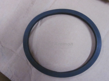 ������ ��������� ������ (�����) 10160001520