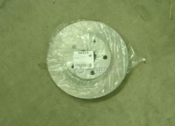 ���� ��������� ��� ������ (�����) 1064001281