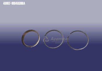   (0,25)  480EF1004030BA