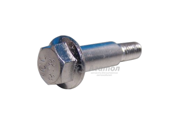 ��������� ���� - ������ ���������� ������������������ ���� �������� 481H-1003063