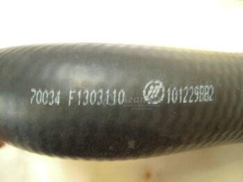 �������� ���������� ��������� ������� ������ (�����) F1303110