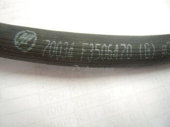 ����� ��������� ��� ������ (�����) F3506470