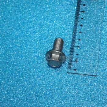 ���� � ������������� ������ M12�1.25�25 T15/T18/T11/T19/T1A/T1E/J69/T1D �������� Q1831225TF61K