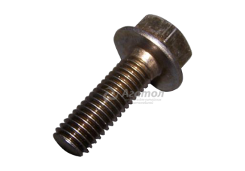 ���� (��) �������� Q1840825