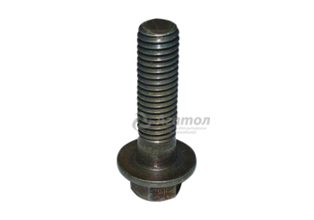 ���� ��������� �������� Q1840830