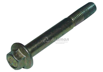 ���� �������� �������� ����� �������� Q1840865