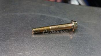 ���� �������� Q1841070