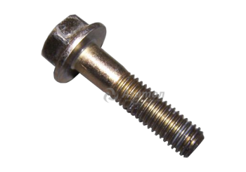 ���� �������� ������� ���� �������� Q1860840