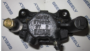        S1010630100