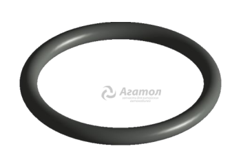    () S11-8108015