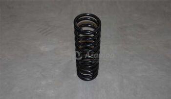 Пружина передняя (ЦС) Оригинал S21-2902011