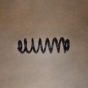 Пружина задняя (ЦС) Оригинал 202001527AA