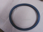 ������ ��������� 10160001520 ������ (�����)