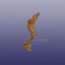 ������ �������� ������ ������ T1E 602003604AA ��������