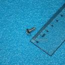 ����� T19/T1A/T1E/T1D/T1C/M32TFL/M36T/M31T Q2734213F36 ��������