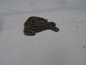 Цепь (ЦС) 1136000081 Оригинал