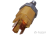  -  B113720010